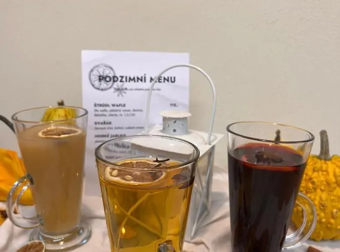 Pansiyon V Domecku *
